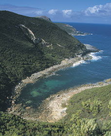 Jimmy Newells Harbour - Mackay Tourism 0