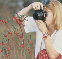 Gingin Cemetery - Mackay Tourism