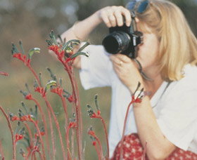 Gingin Cemetery - Mackay Tourism 0