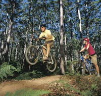 Leeuwin-Naturaliste National Park - Cowaramup - Mackay Tourism
