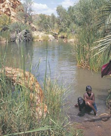Palm Springs - Mackay Tourism 0