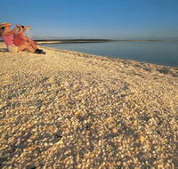 Shell Beach - Mackay Tourism
