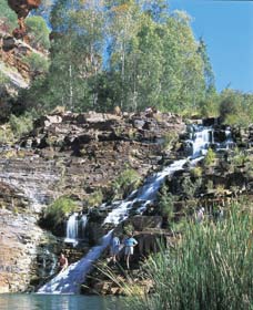 Fortescue Falls - Mackay Tourism 0