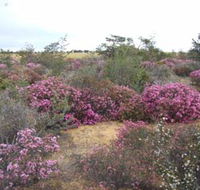 Reynoldson's Flora Reserve - Mackay Tourism