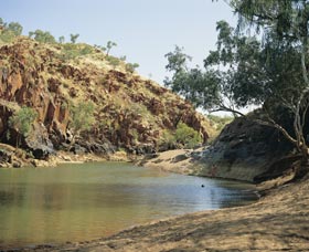 Caroline Pool - Mackay Tourism 0