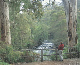 Cascades - Mackay Tourism 0