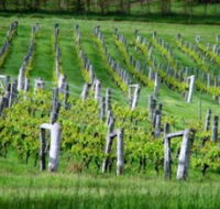 Sienna Estate Winery - Mackay Tourism