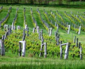 Sienna Estate Winery - Mackay Tourism 0