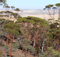 Mount Matilda Walk Trail Wongan Hills - Mackay Tourism