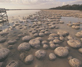 Yalgorup National Park - Mackay Tourism 0
