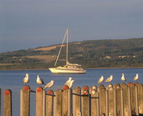 Oyster Harbour - Mackay Tourism 0