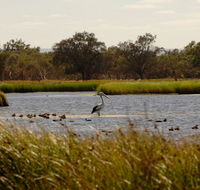Anytime Adventures in Mandurah  the Peel Region - Mackay Tourism