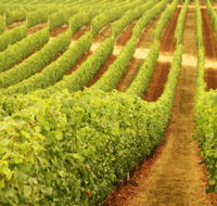 Happs Wines - Mackay Tourism