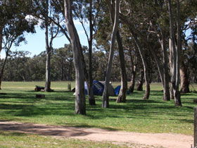 Naracoorte SA Mackay Tourism