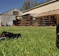 Wilkadene Woolshed Brewery - Mackay Tourism