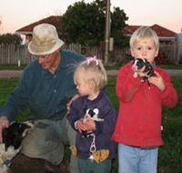 Orrie Cowie Merino and Poll Merino Stud - Mackay Tourism
