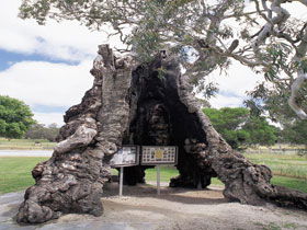 Springton SA Mackay Tourism