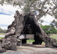 The Herbig Family Tree - Mackay Tourism