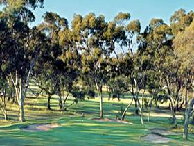 Tanunda Pines Golf Club - Mackay Tourism 0