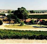Irvine Wines - Mackay Tourism