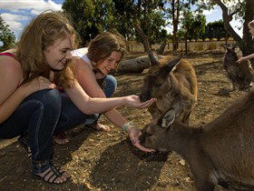 Seddon SA Mackay Tourism