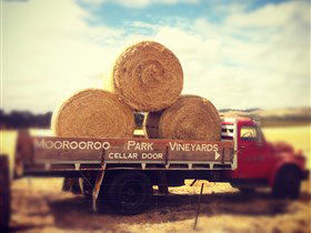Moorooroo Park Vineyards - Mackay Tourism 0