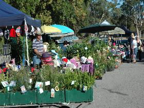 Meadows Monthly Market - Mackay Tourism 0