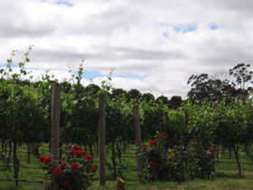 Balhannah SA Mackay Tourism