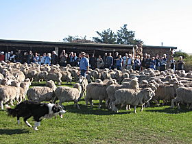 Curringa Farm - Accommodation And Farm Tours - Mackay Tourism 0