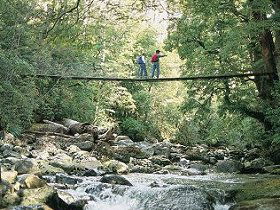 Arve Forest Drive - Mackay Tourism 0