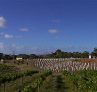 Deep Creek Wines and Alpacas - Mackay Tourism