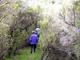 Jack And Hilda McArthur Walk - Mackay Tourism 0