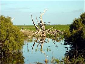  Mackay Tourism