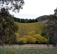 Mt Bera Vineyards - Mackay Tourism