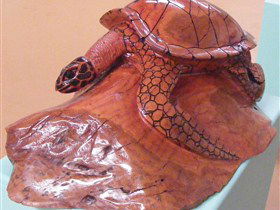Ants Redgum Gallery - Mackay Tourism 0