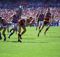 AAMI Stadium Tours - Mackay Tourism