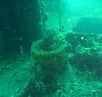 Wallaroo Scuba Club - Mackay Tourism