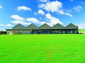Shaw And Smith Winery - Mackay Tourism 0