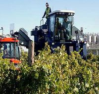 Ballast Stone Estate Wines Pty Ltd - Mackay Tourism