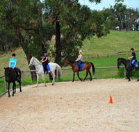 Megan Jones Riding School and Trail Rides - Mackay Tourism