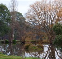 Gemtree Wetlands Ecotrail - Mackay Tourism