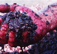 Rusden Wines - Mackay Tourism