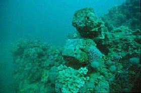 Adelaide's Underwater Heritage Trail - Mackay Tourism 0