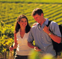 Lady Bay Vineyard - Mackay Tourism