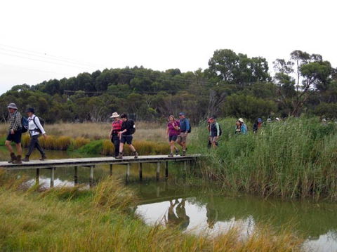Lavender Federation Trail - Mackay Tourism 1