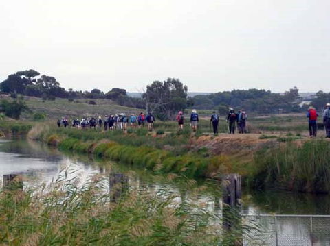 Lavender Federation Trail - Mackay Tourism 2