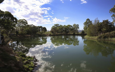 Maggie Beer's Farm Shop - Mackay Tourism 6