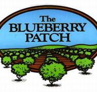 The Blueberry Patch - Mackay Tourism