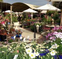 Serenity Nursery - Mackay Tourism