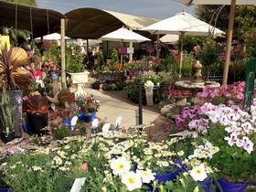 Serenity Nursery - Mackay Tourism 0